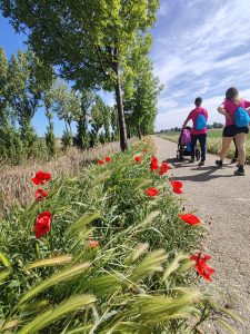 46 Marcha Asprona - En ruta